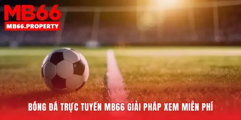 Nơi trải nghiệm bóng đá trực tuyến không còn bị gián đoạn