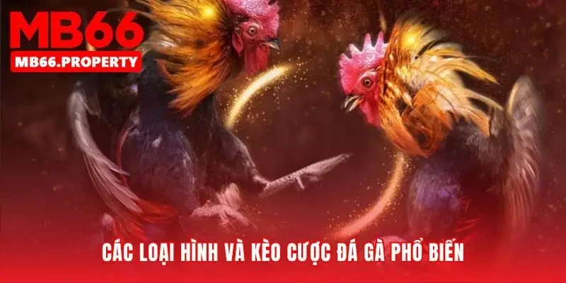 Nắm bắt các hình thức cược đá gà đỉnh cao