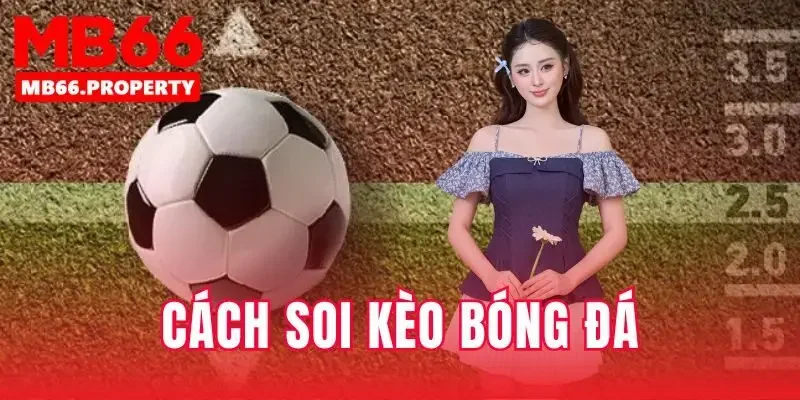 Cách soi kèo bóng đá