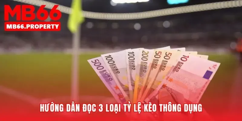 Làm chủ ba ngôn ngữ cá cược phổ biến nhất