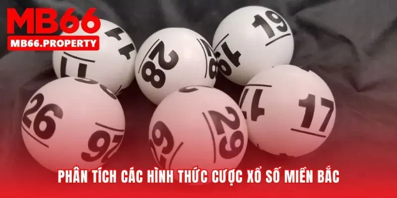 Lựa chọn con đường chinh phục những con số