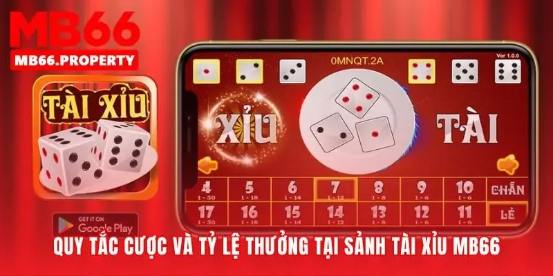 Nền tảng vững chắc cho mọi quyết định đặt cược