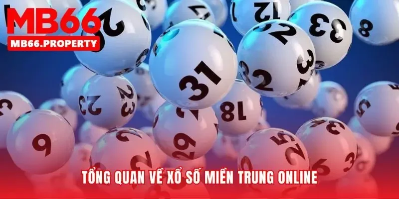 Hiểu rõ sân chơi trước khi bắt đầu cuộc đua