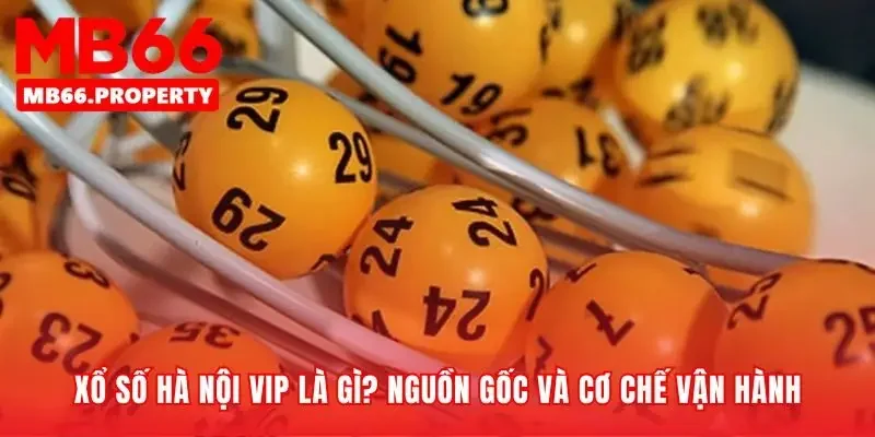 Hiểu rõ bản chất khác biệt của xổ số hà nội víp